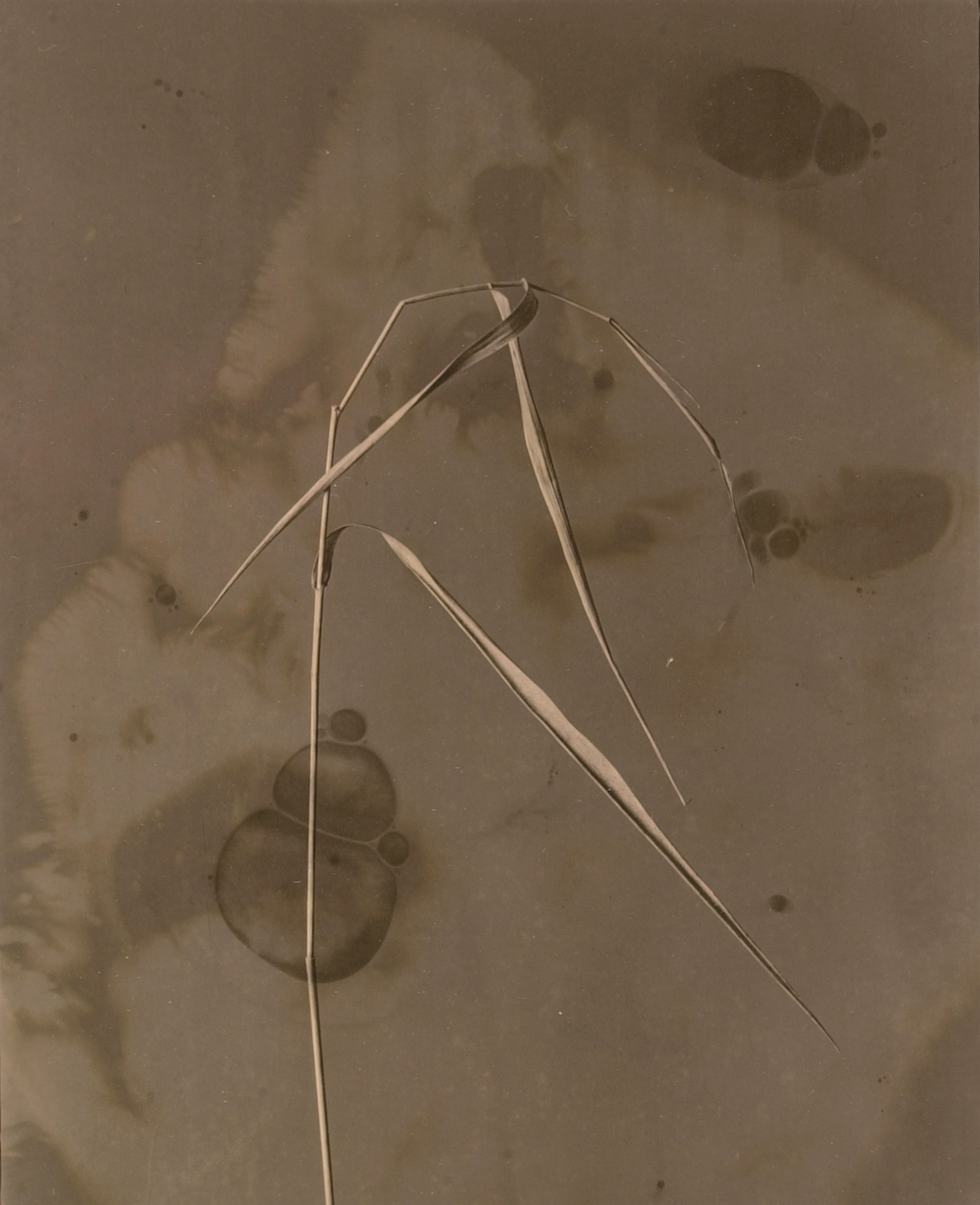 z cyklu bez tytułu, nr neg. 249/16